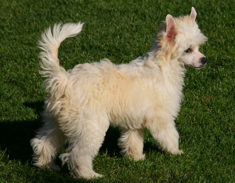 Solino's Thunderstorm