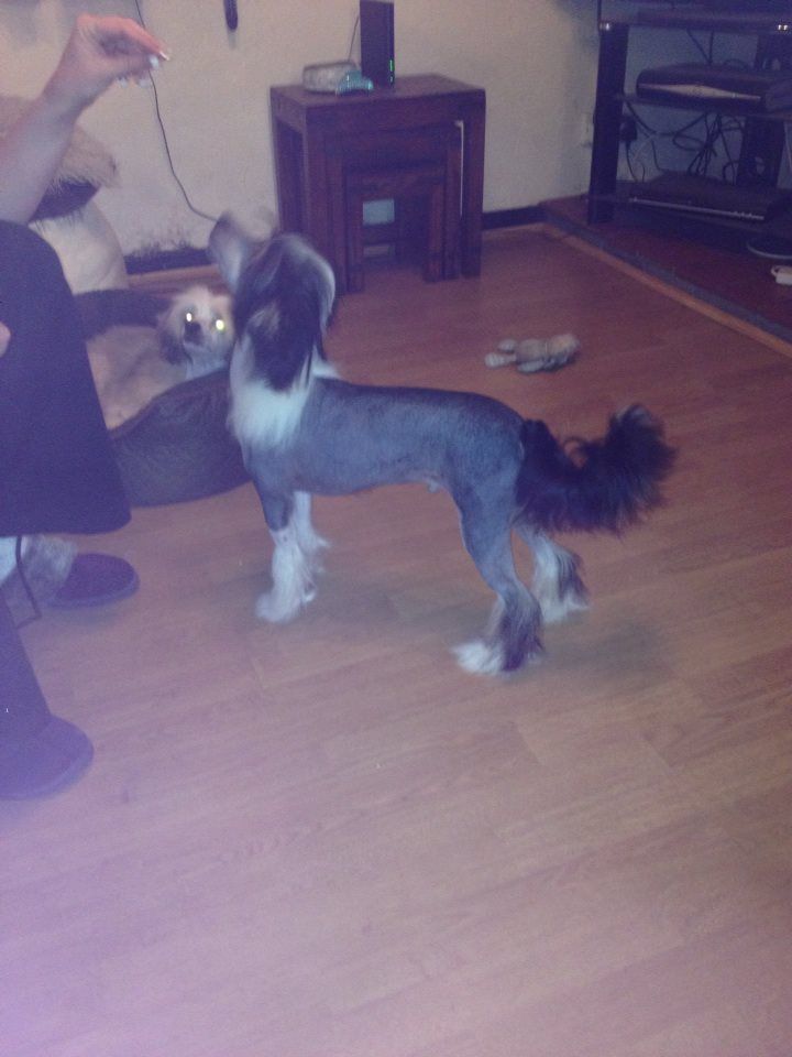 Despinia Smoke And Mirrors