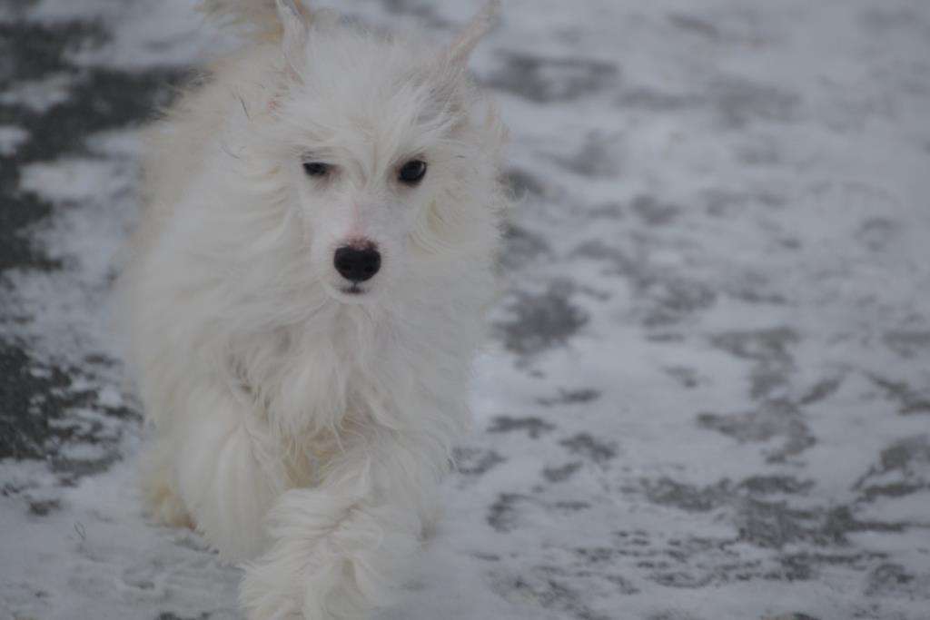 Ketrin Kristol Kristofer Sky