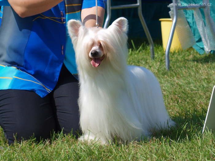 Paddy ze Zatopene Chajdy