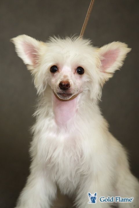 Rus Foreva  High Sky 