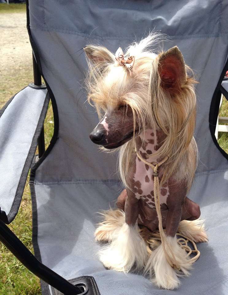 Magnus Staff Kiss Me