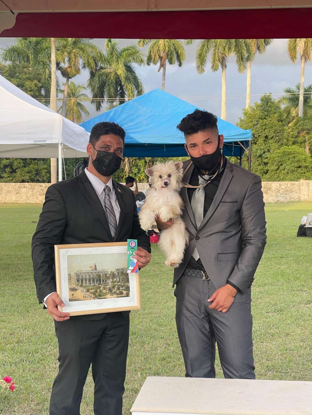 Canine Pride World Ralph