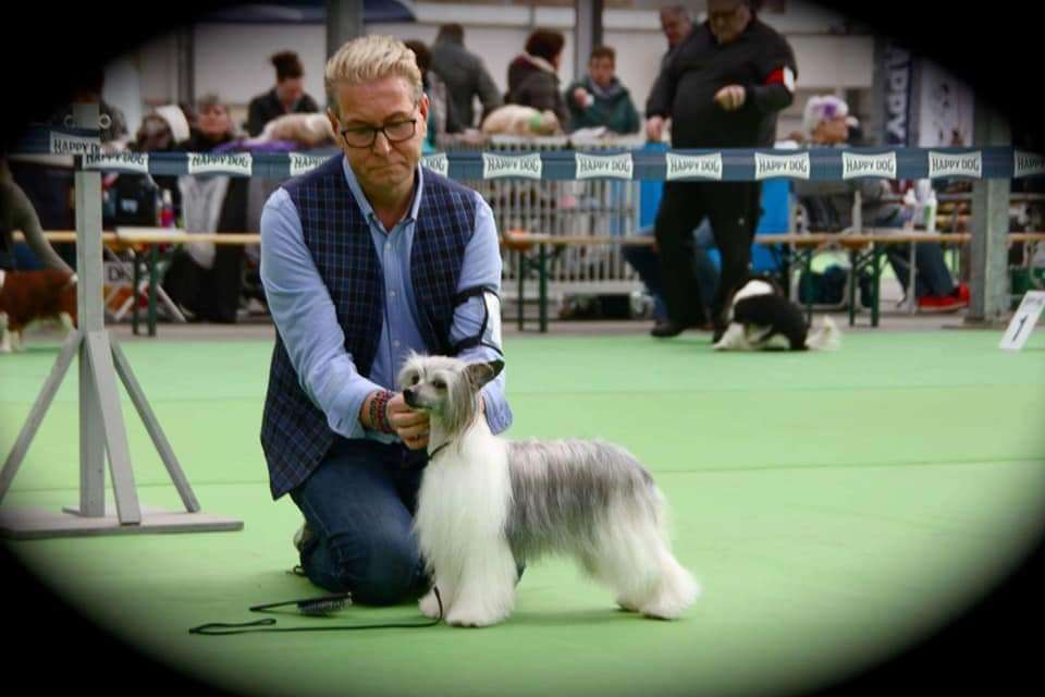 StripPoker's Let Me Fix My Weave