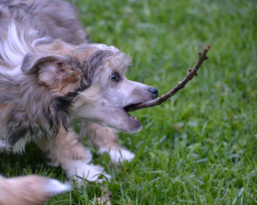 Delende the Real thing Worka Art