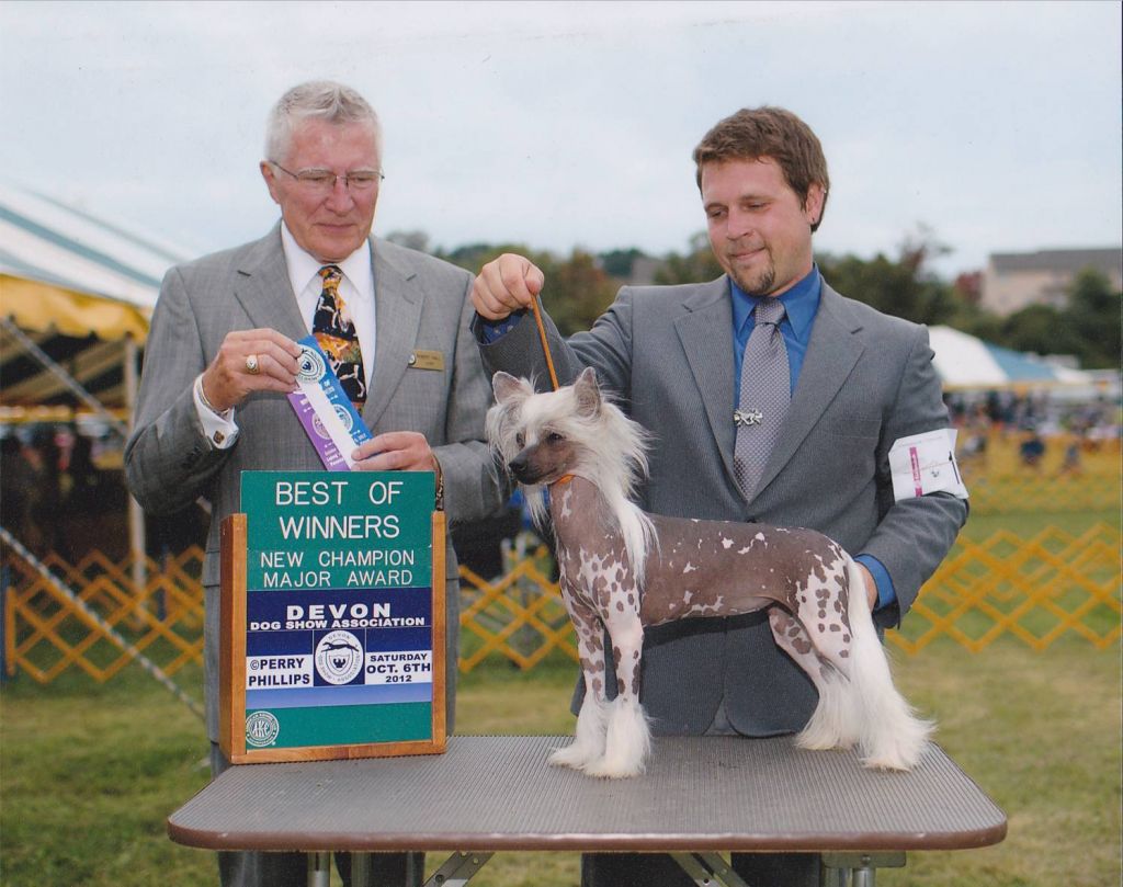 AM/CANCH Bonsai's Pink Flamboyance Affiniti CA
