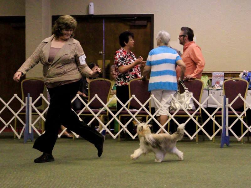 Raffica's Diamond Masquerade