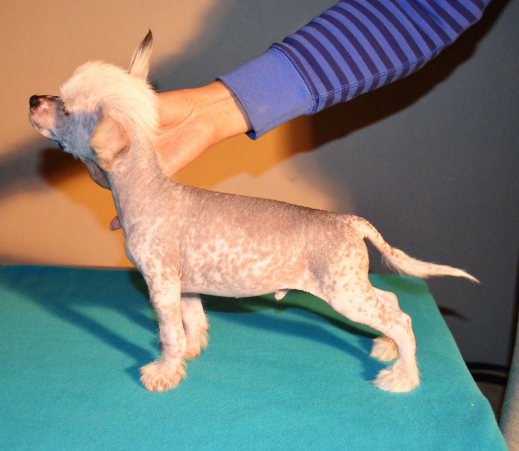 Etno Spirit Double Win