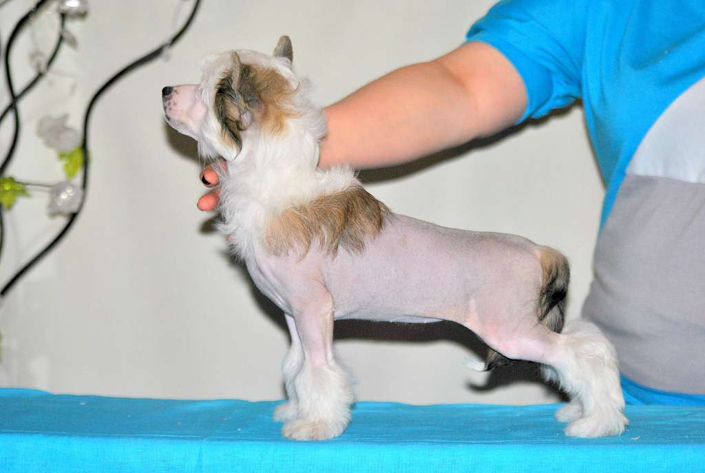 Grand Sunlife  Alicia Keys