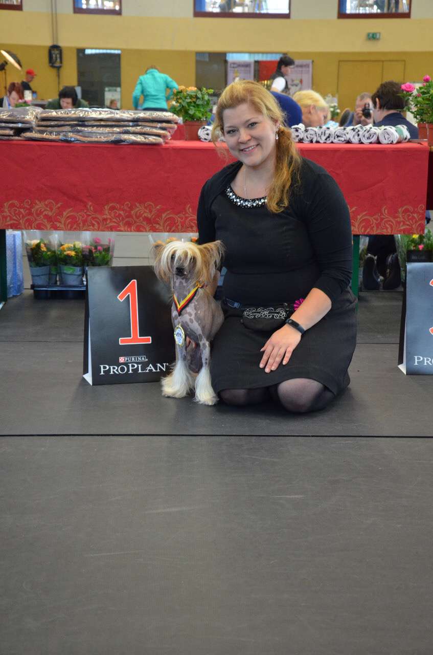 Charming Treasure's Casanova