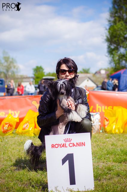 Teo Teiki Bonus Westtai