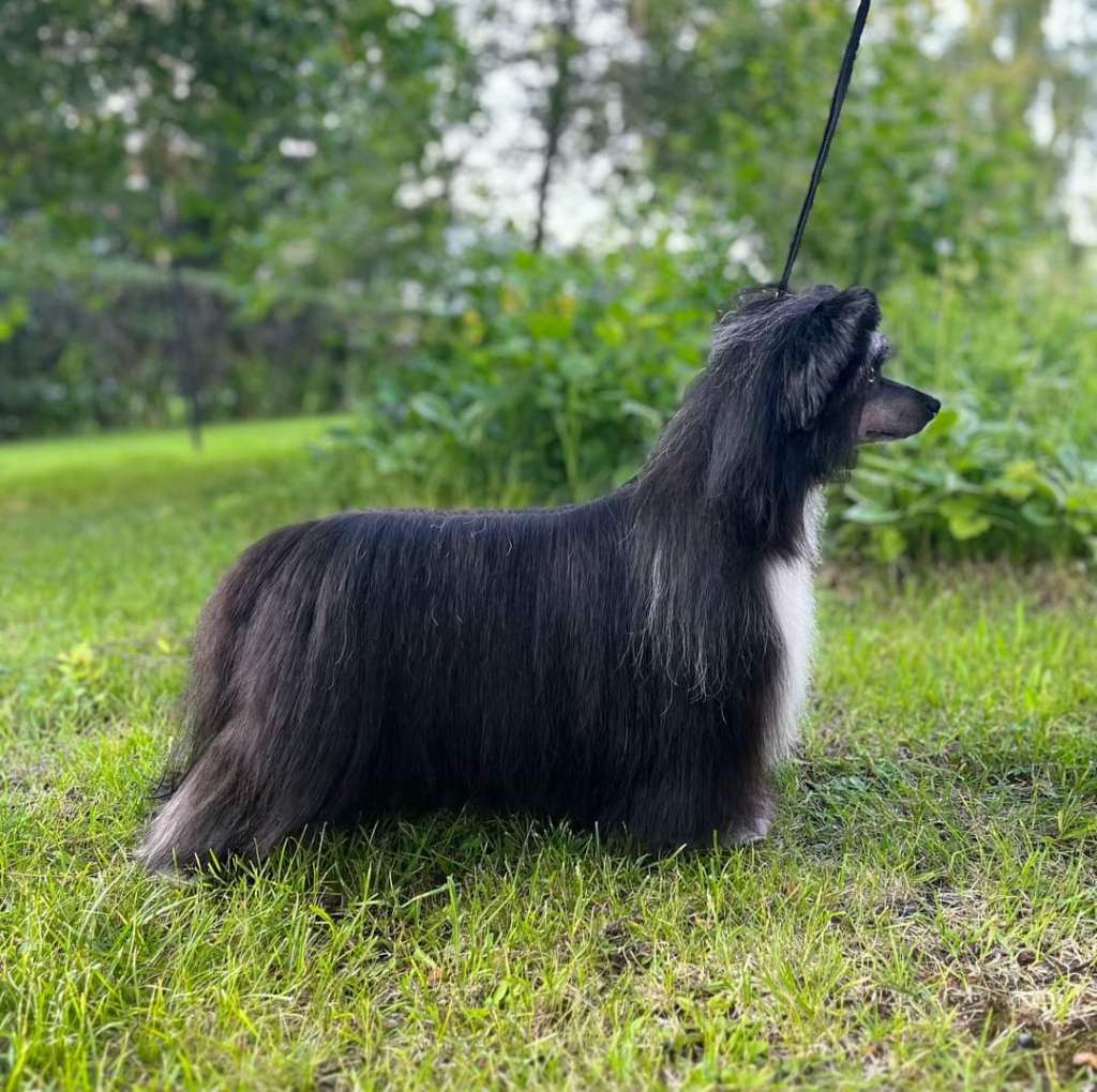 Lilla Wanillas Can't Deny Me