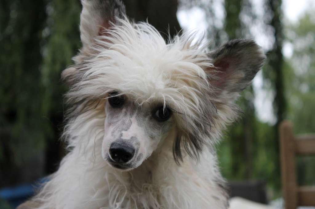 Happy Dancing Intensive Journey