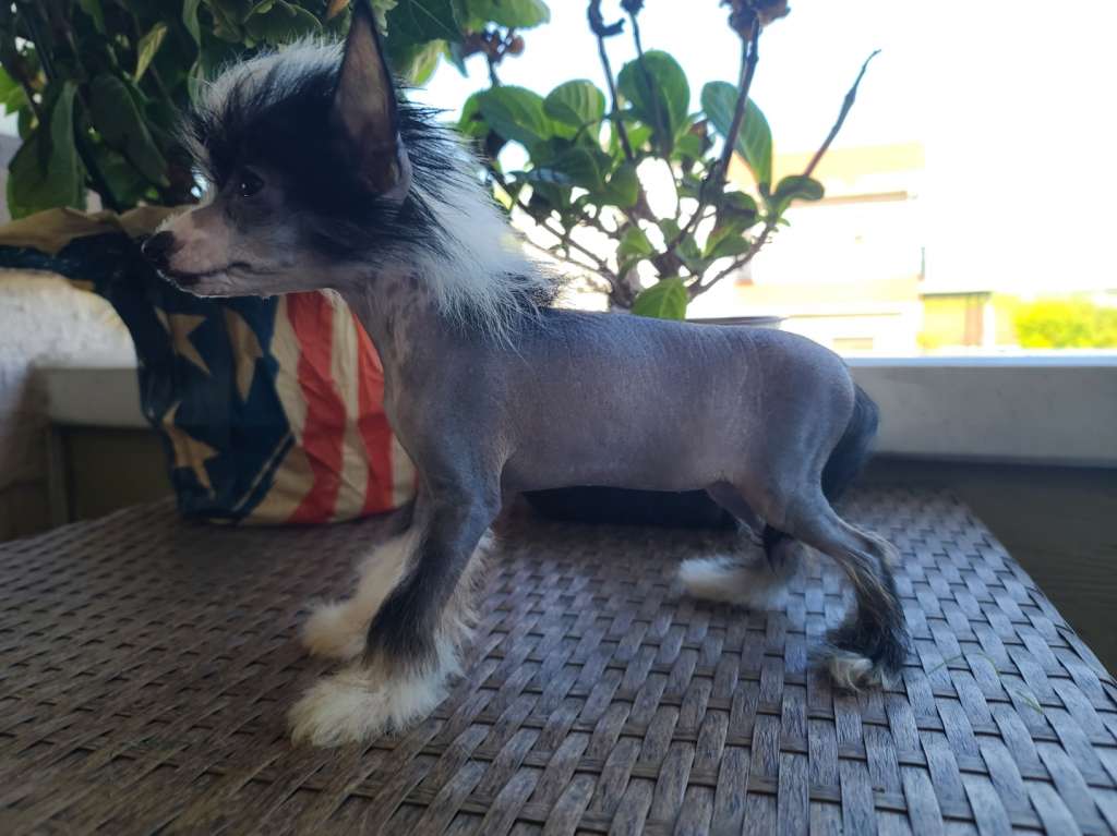 Long Haul's N'Ever Dull Twist Of Fate