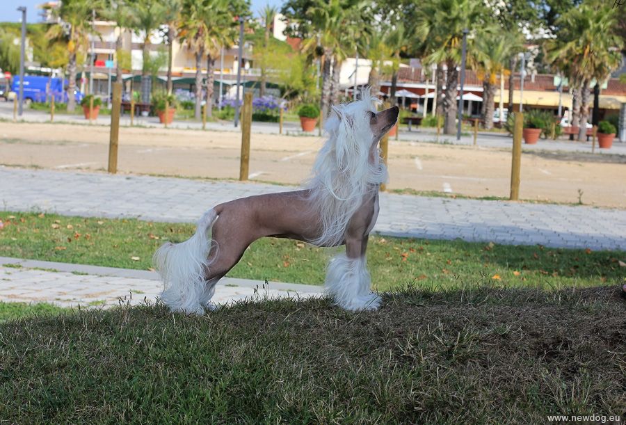 Touch Beauty Great Future