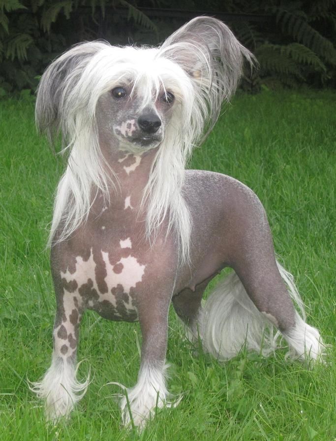 Undis Unaluna Avrina