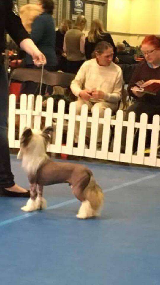 Pinot Grigio Gattaca