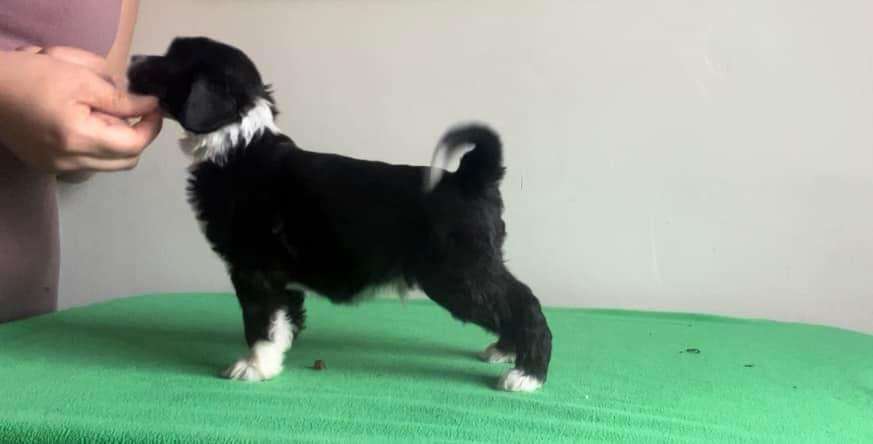 Swerotts Fear Heaven Upside Down