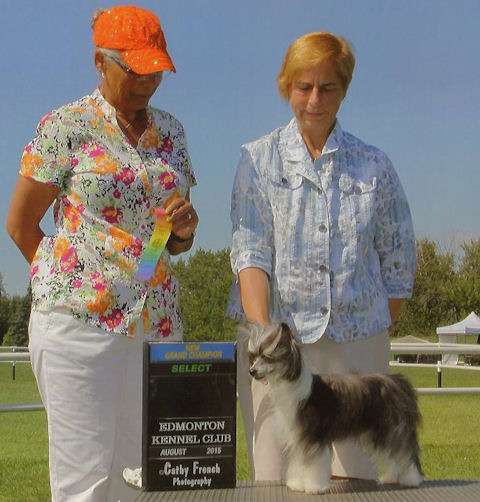 Can GRCH Taja Gumdrops N Lollipops