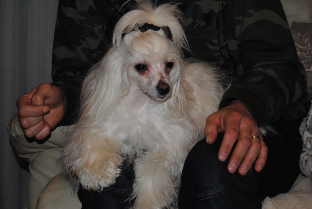 Il était une fois Lestat