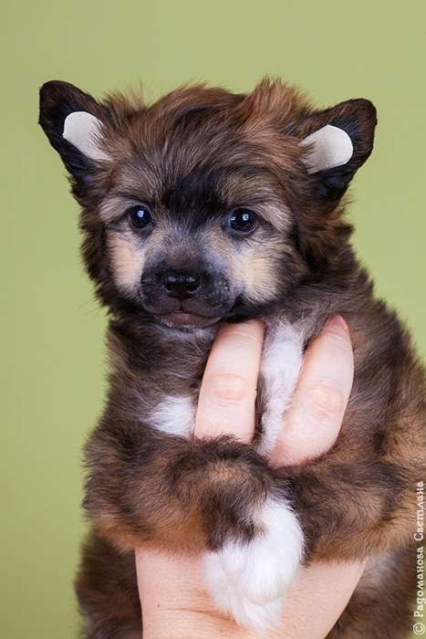 Olegro Katrin Richard