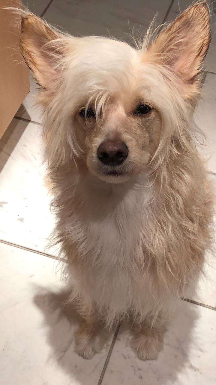 Upendo Child Diamond Place