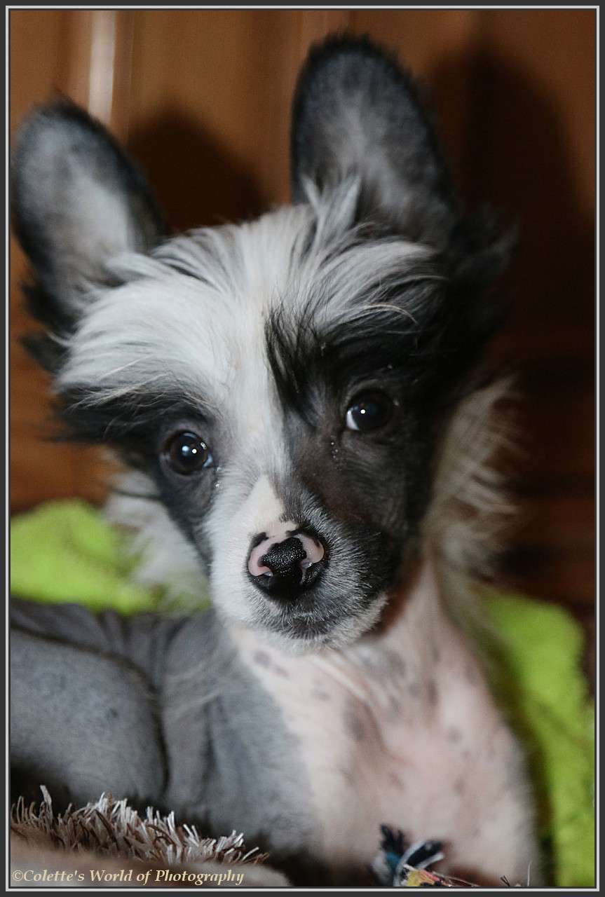 Happy Dancing Awesome Beauty