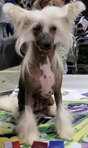 An-Li Keeping The Love Hope And Faith