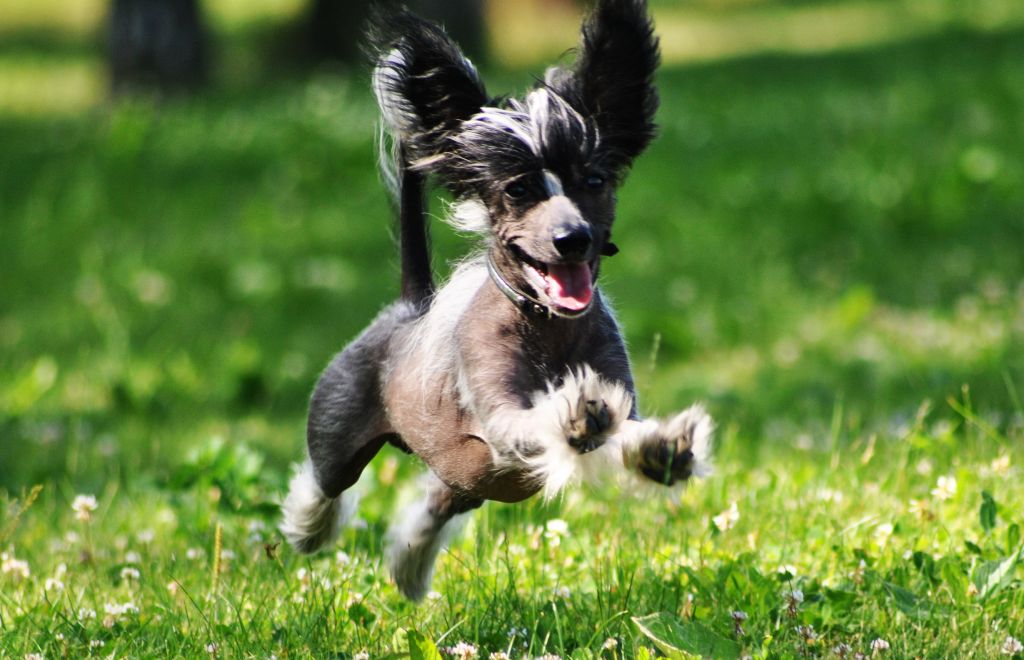 Grand Sunlife Emarion