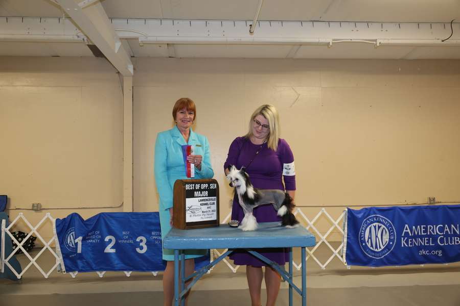 Sekhara & Regal On Wednesdays We Wear Black