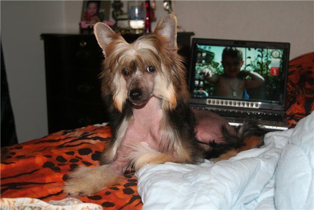 Picture