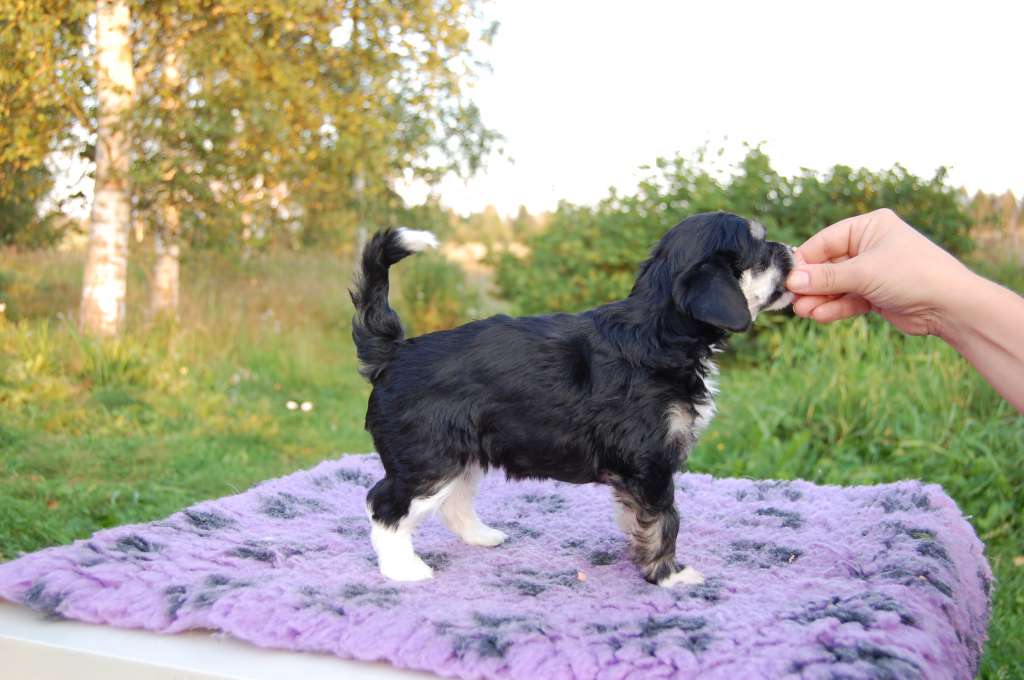 Bemu's For Low Your Heart