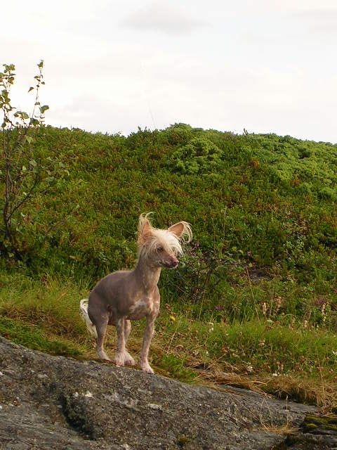 Picture