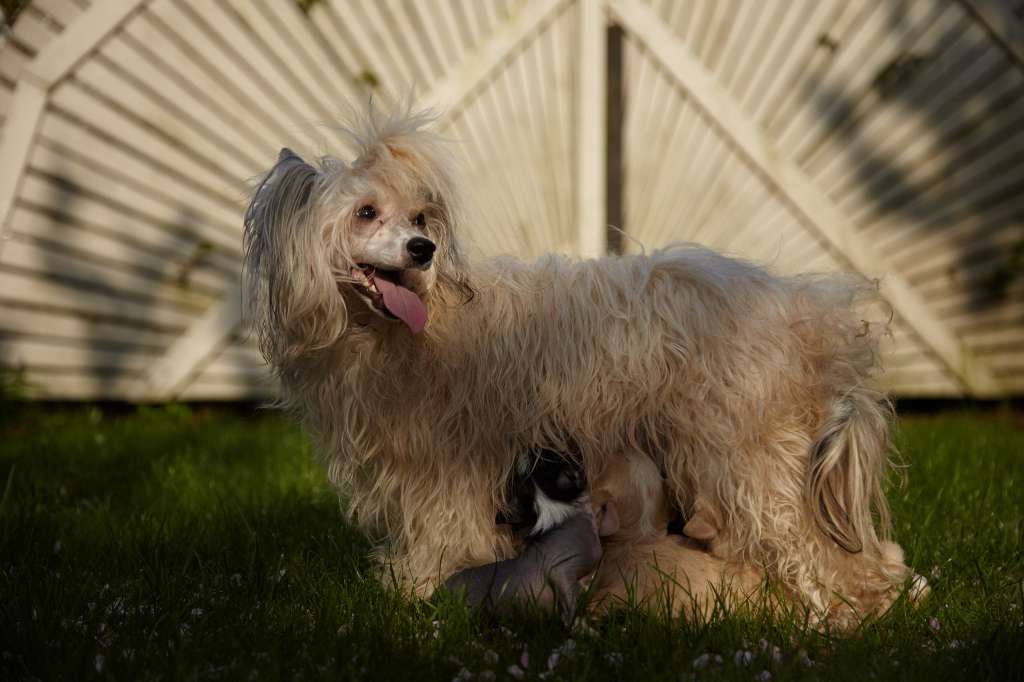 Dresscode-Zero One Night Stand