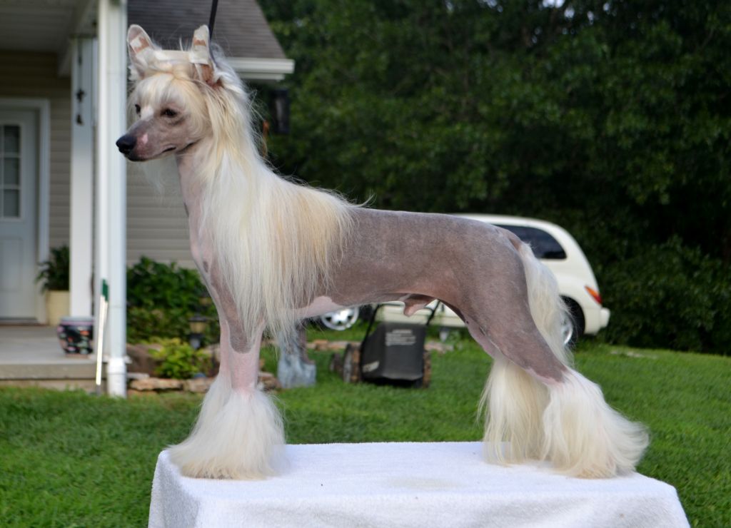 Whispering Lane Can't Touch This