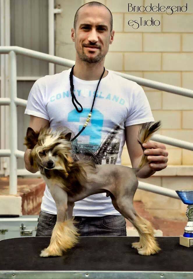 Gimlin de Los Jumichatos