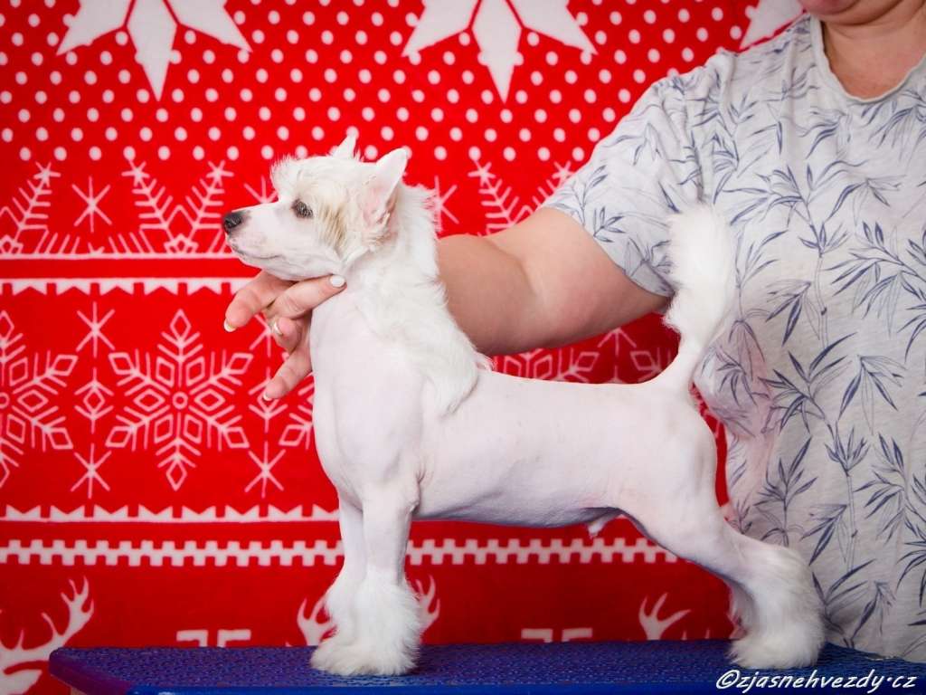 Heliot z Jasne hvezdy