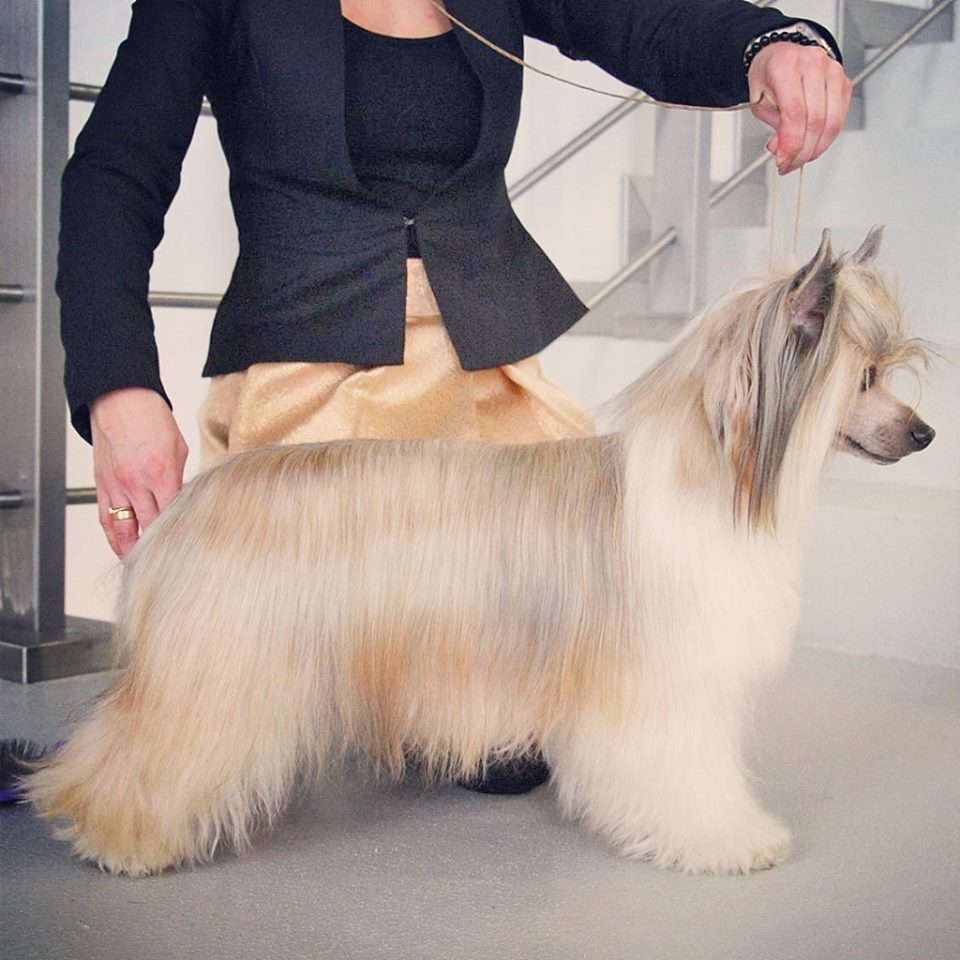 Gaby Hills Artagasamazis