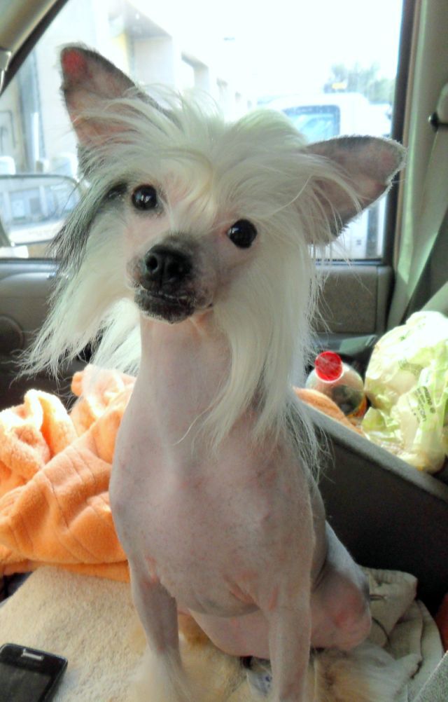 Cinondra's Tupelo Honey