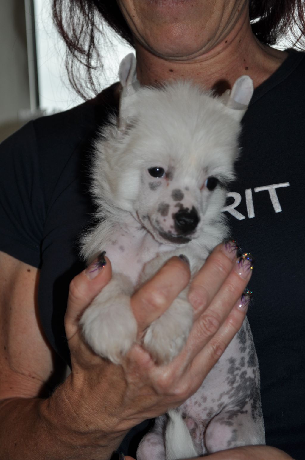 Bubbling Spirit All Inclusive