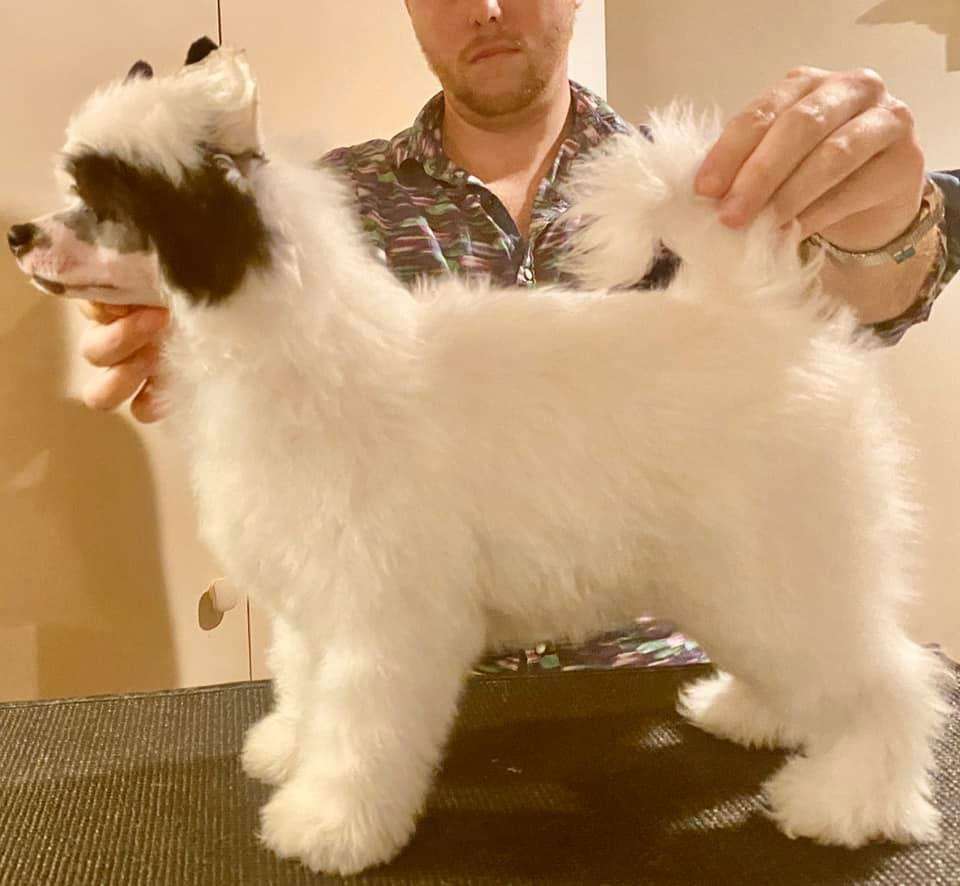 Speechless Forever Unstoppable