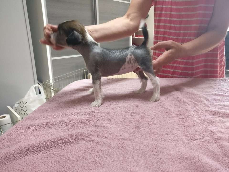 Black-Diva's Lightning Mc Queen