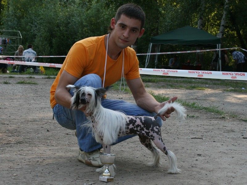Picture