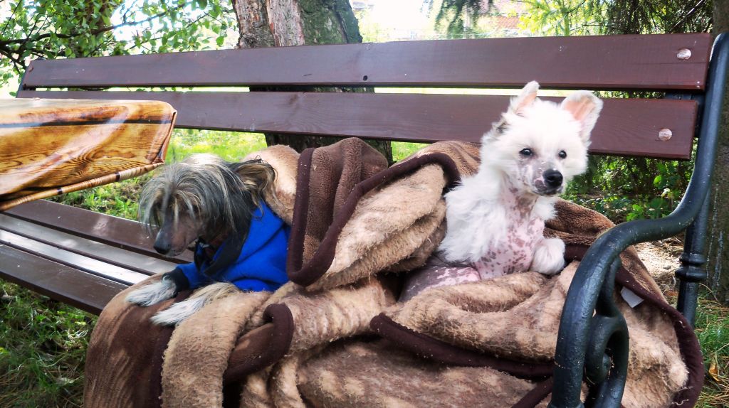 Lukas z Jasne Hvezdy