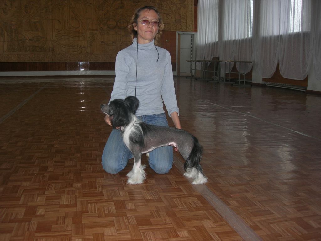 Picture