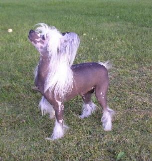 Flywheel's Play The Piano