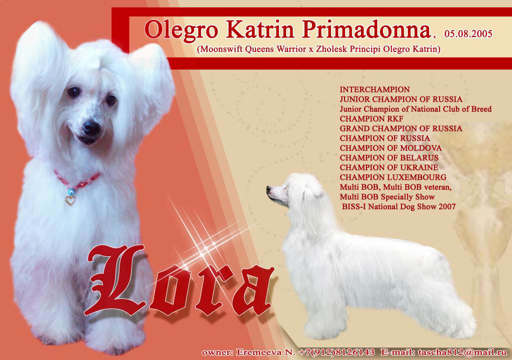 Olegro Katrin Primadonna