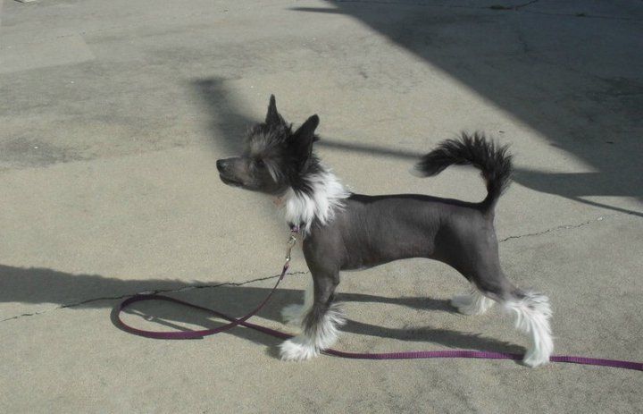 Zoelle Driving Miss Daisy