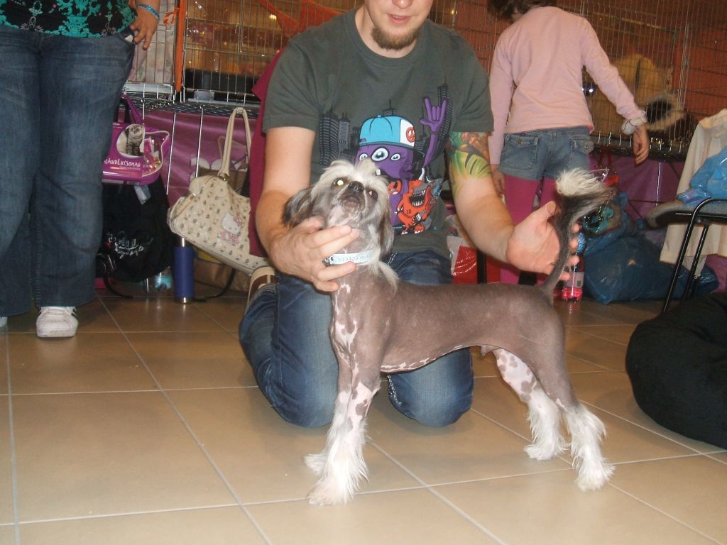 Picture