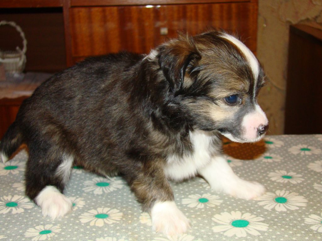 Kristal Yaniry Tay Ru Otti